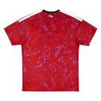 2026 Costa Rica Home Kit